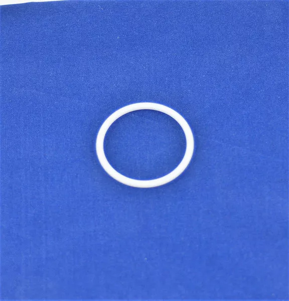 #024T Teflon O Ring 108526