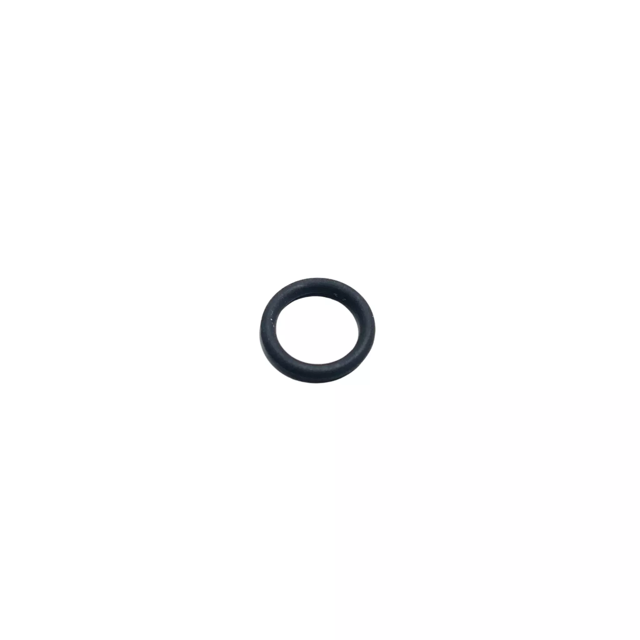 106555 O-Ring