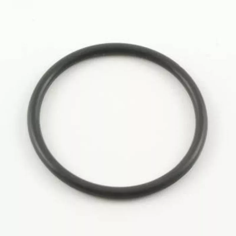 106556 Teflon O-Ring, at top of cylinder