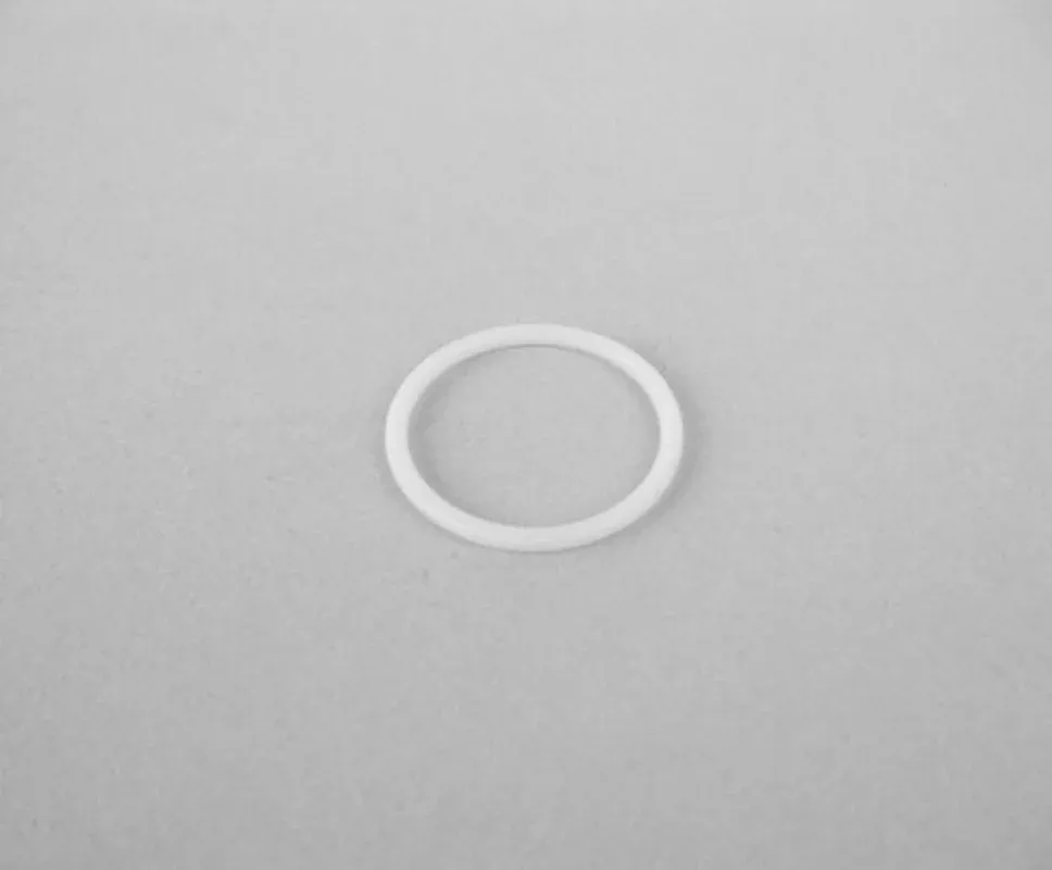 107079 Teflon O-Ring Intake Seat