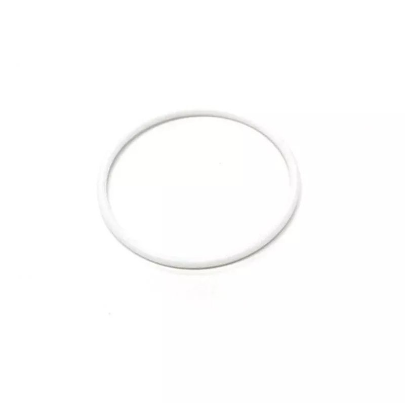 107098 Teflon O-Ring