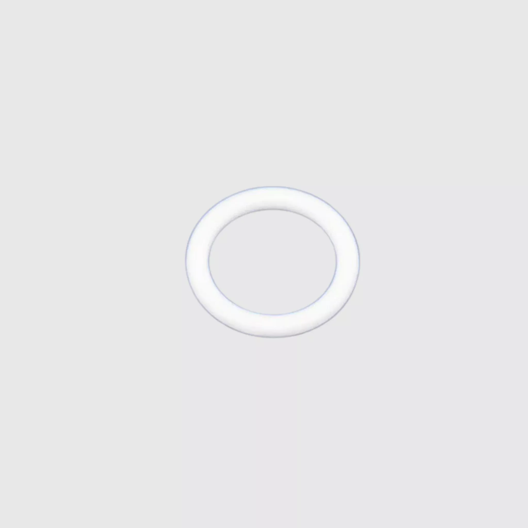 107505 Teflon O-Ring, intake valve