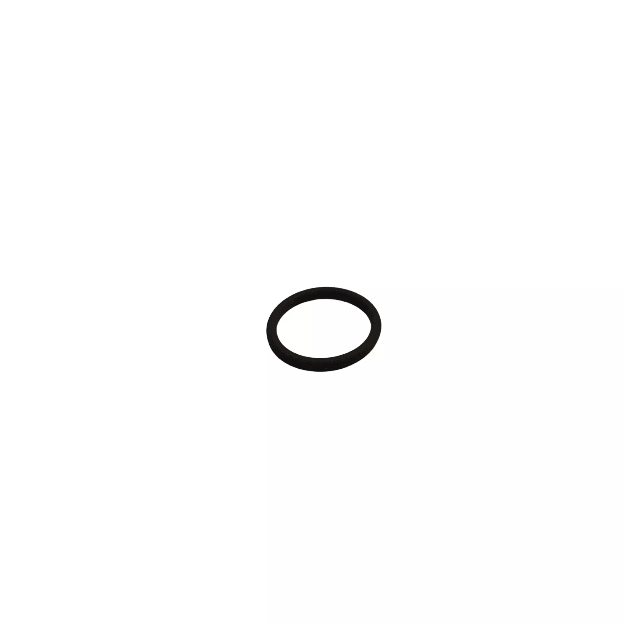109576 O-Ring