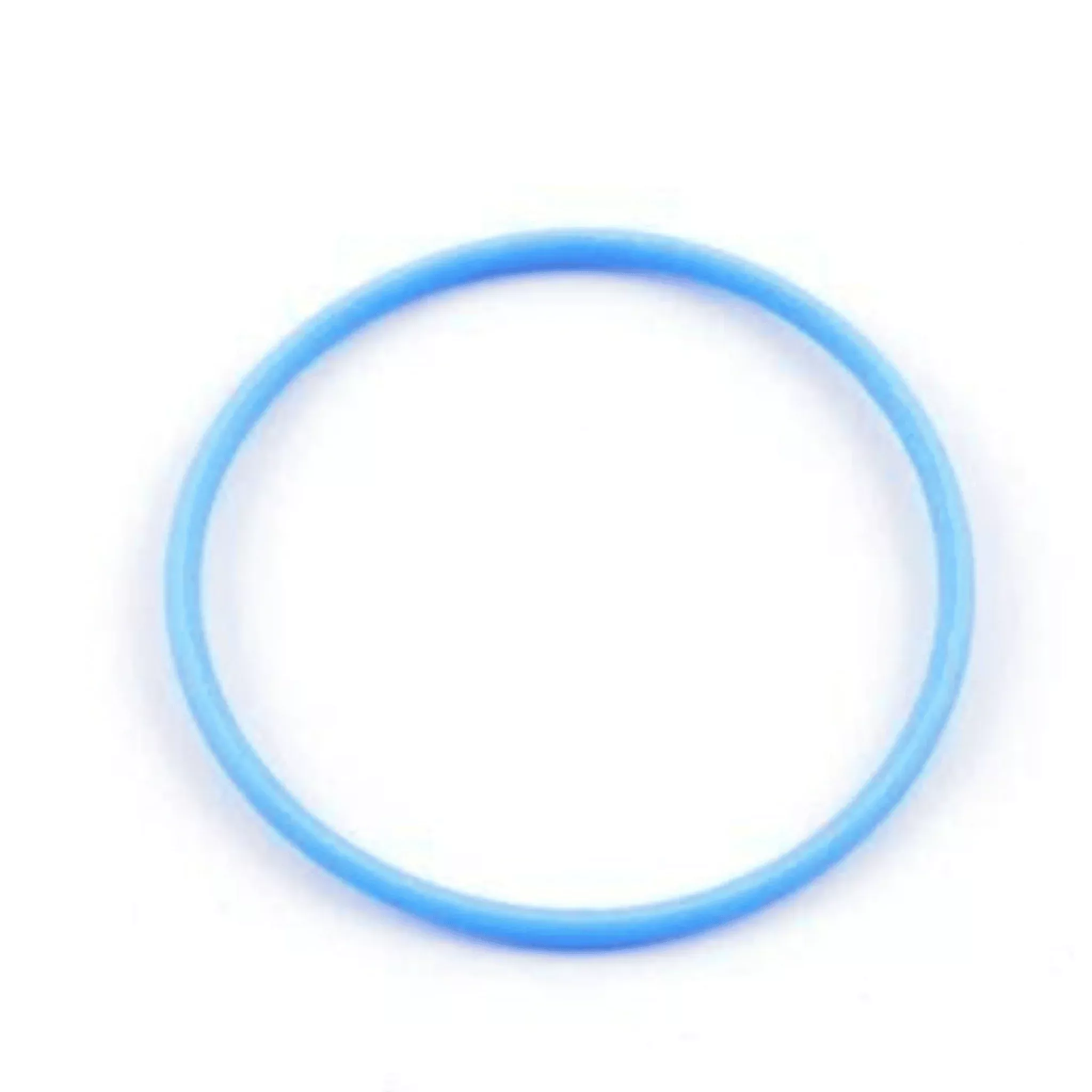 117285 Teflon O-Ring for Filter Housing Base
