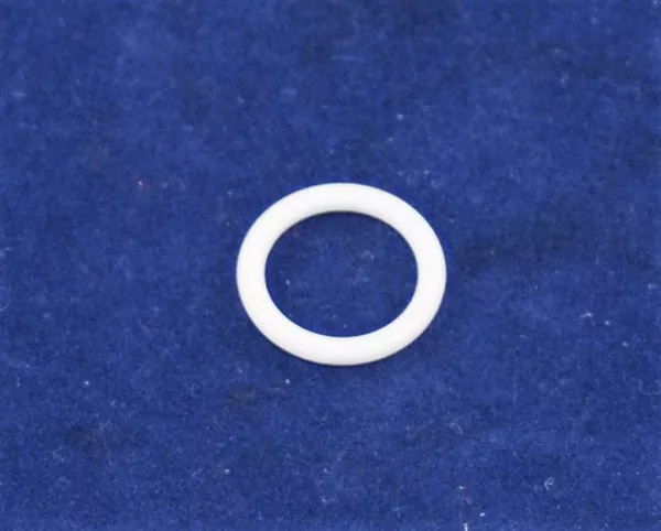 15-2873 Teflon O Ring 107-505
