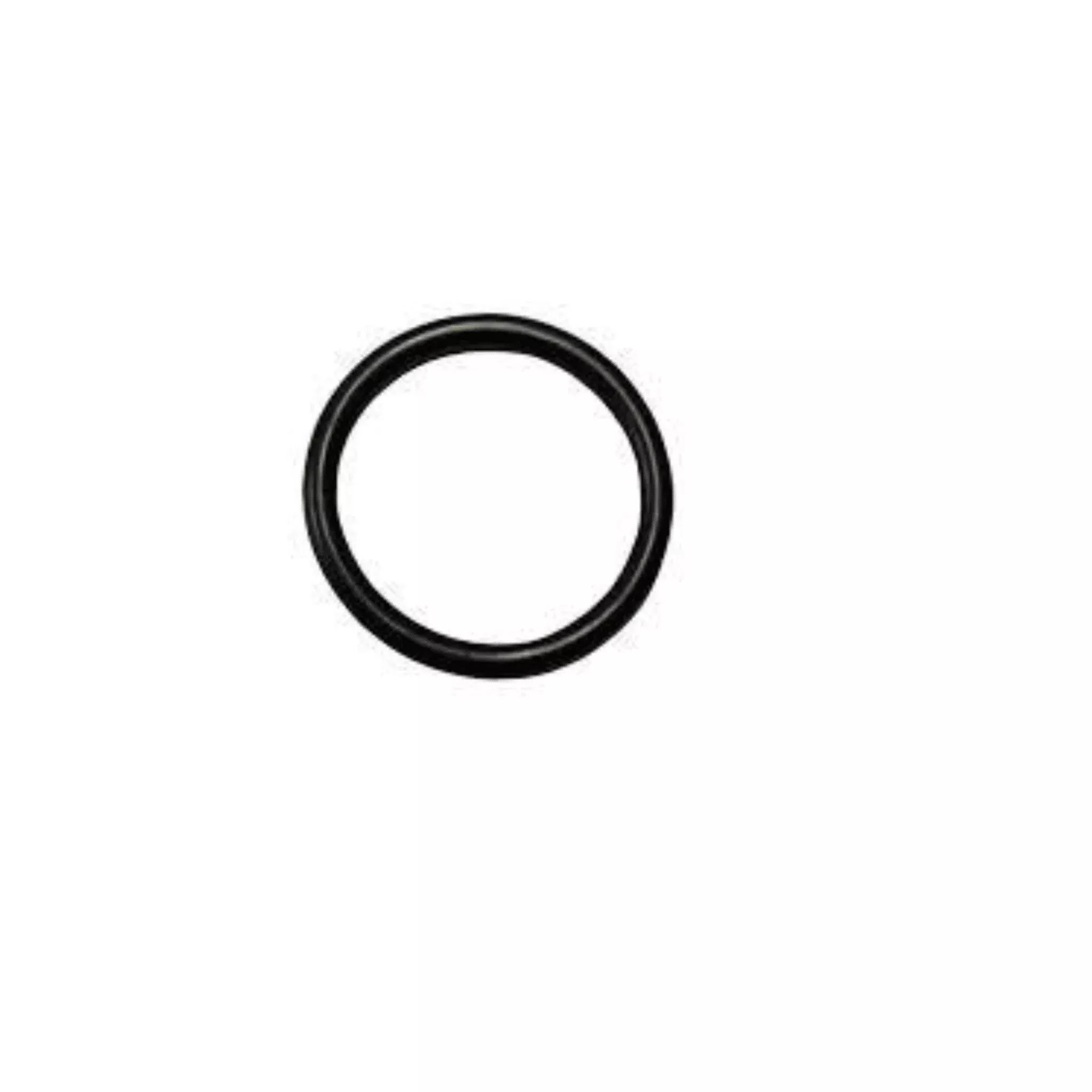 17V093 Packing O-Ring