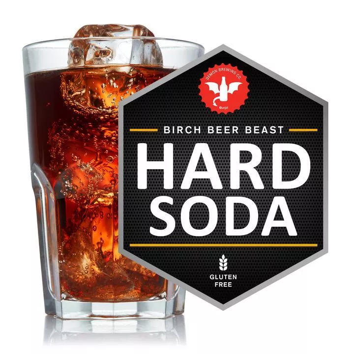 2 Gallon Birch Beer Hard Soda Recipe Kit – Beast Series Homebrew Starter