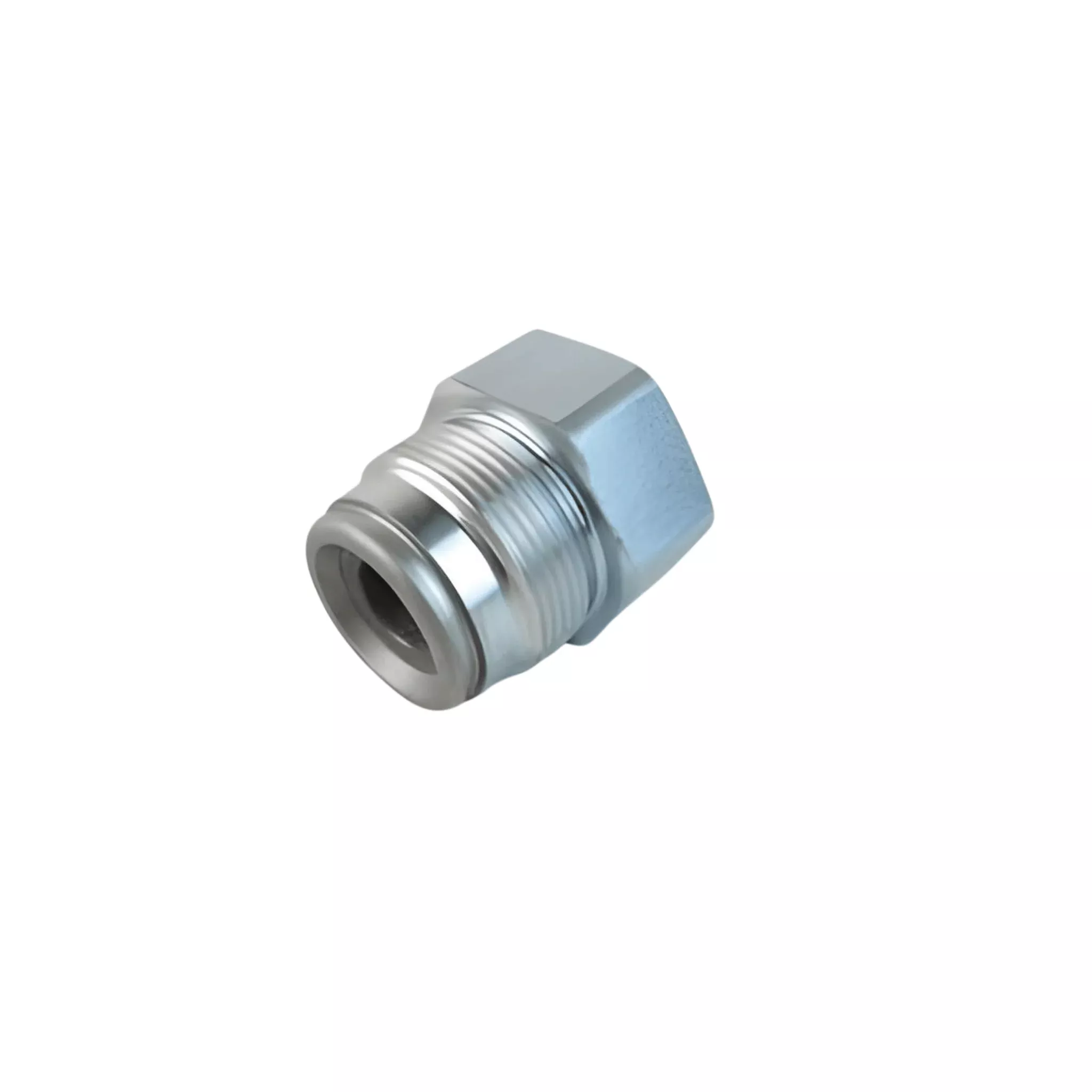 224966 Inlet Valve