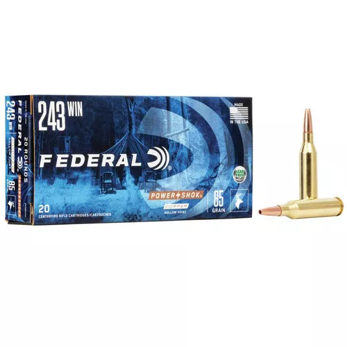 .243 WIN-85 Grain- Copper Jacket Hollow Point- 20 Rounds- Federal