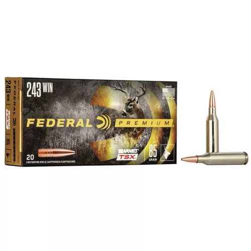 .243 WIN-85 Grain- Solid Copper HP Tip- 20 Rounds- Federal