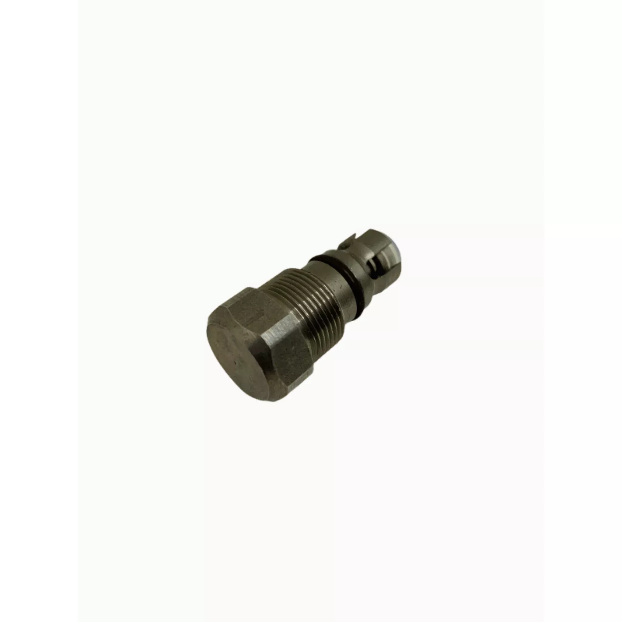 243094 Outlet Valve