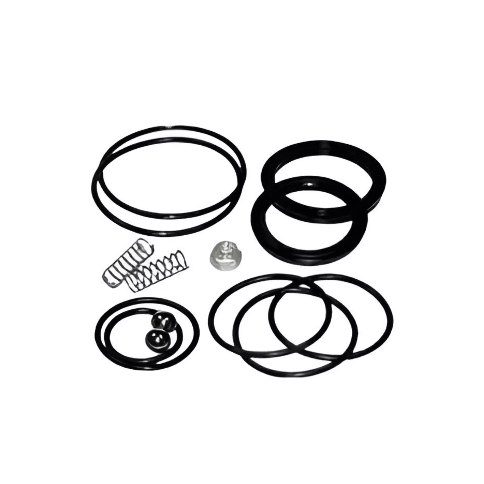 441-071 Hydraulic Motor Kit