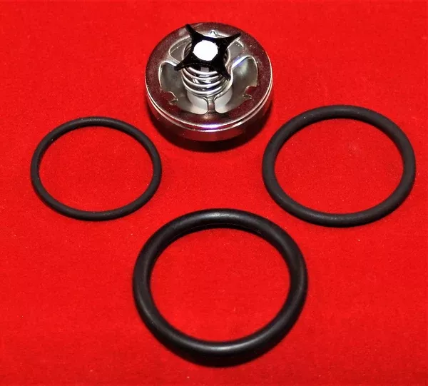 515221 Inlet Valve Kit