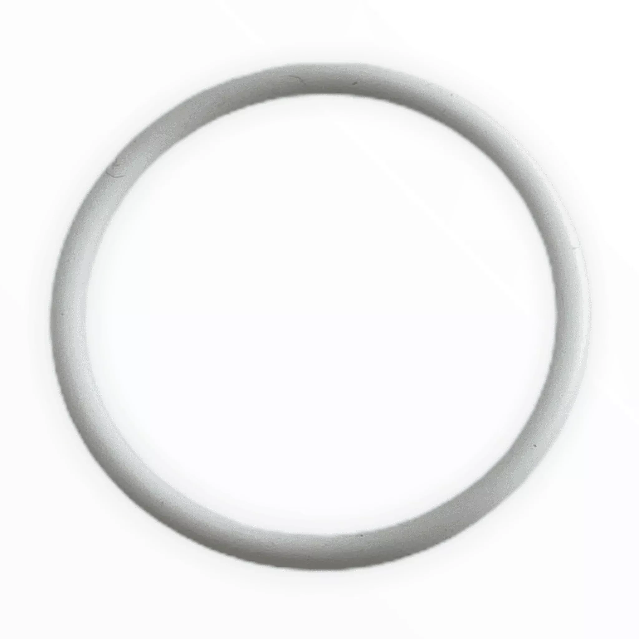 704-297 Teflon O-Ring