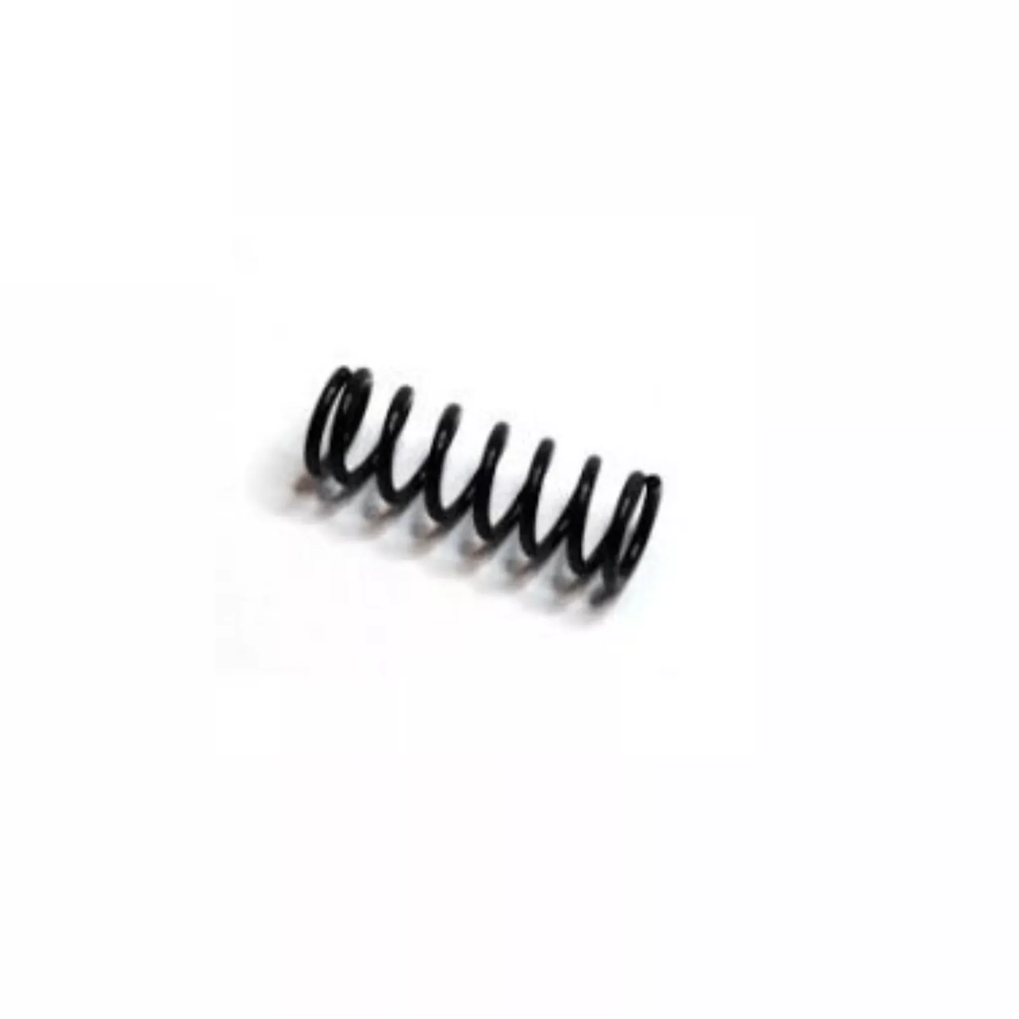930-020 Manifold Filter Spring