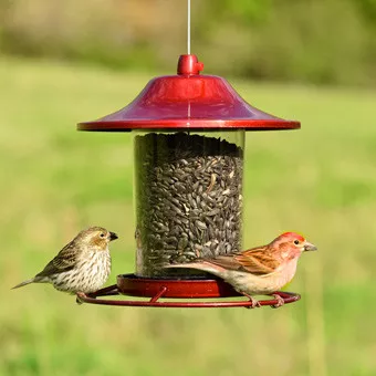 Bird Feeder- Panorama- 2 Lb Capacity- Red