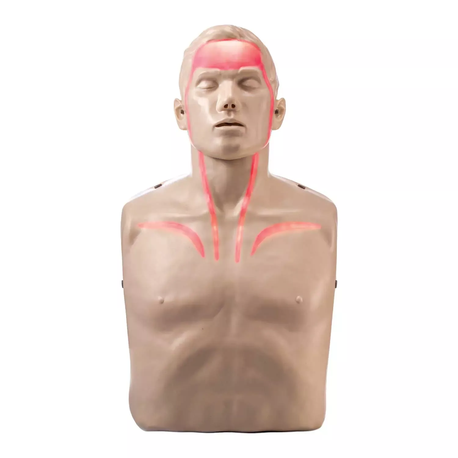 Brayden LED CPR Manikin with Blood Flow Circulation