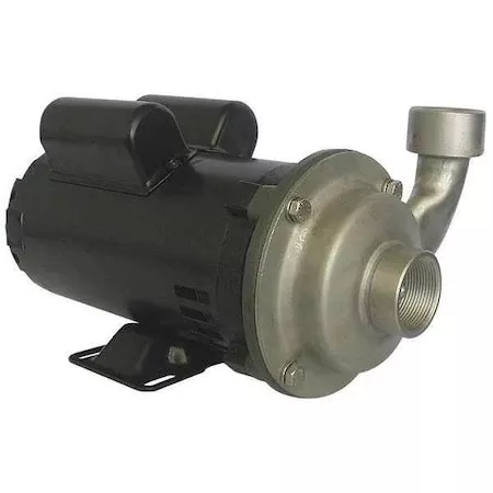 Cntrfug Pmp,304SStl,1P,1 1/4in,1hp,90gpm