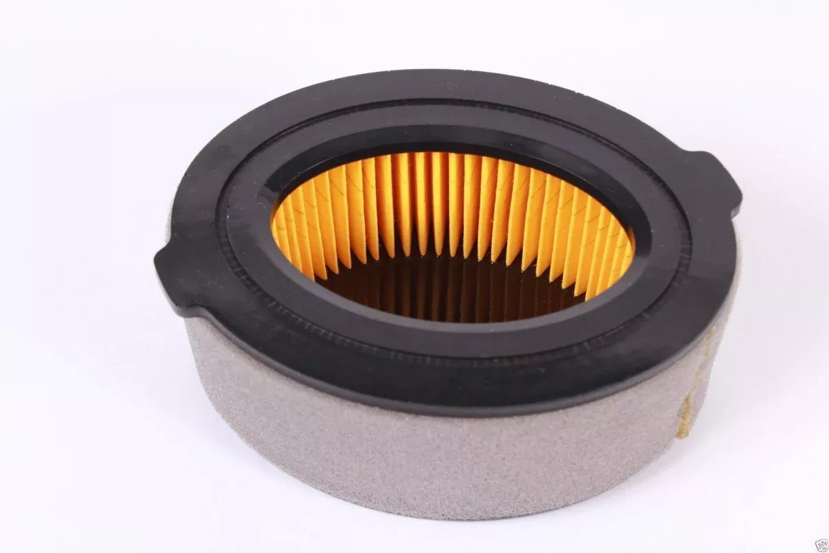Compatible Air Filter for MTD 161-VH Engine