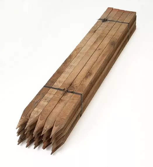 Fence Posts - 1" x 2" x 60" - Bundle of 100