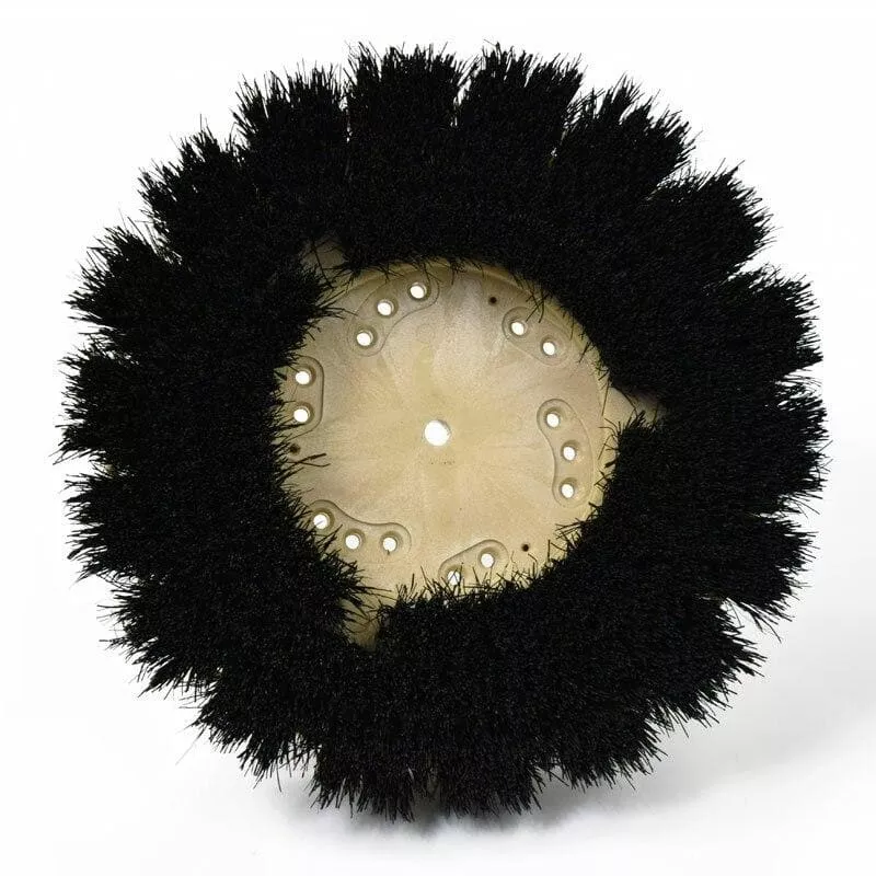 Natural Fiber Scrubbing Bassine Brush