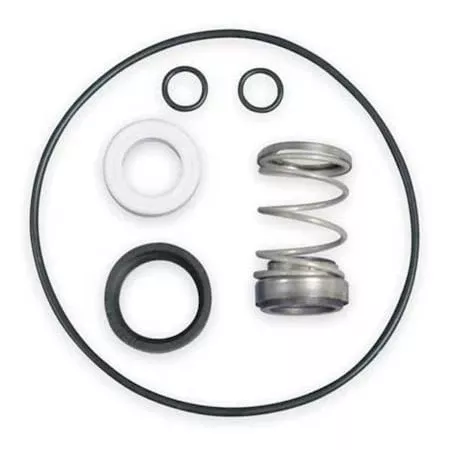 O Ring Kit,T31 Mech Seal