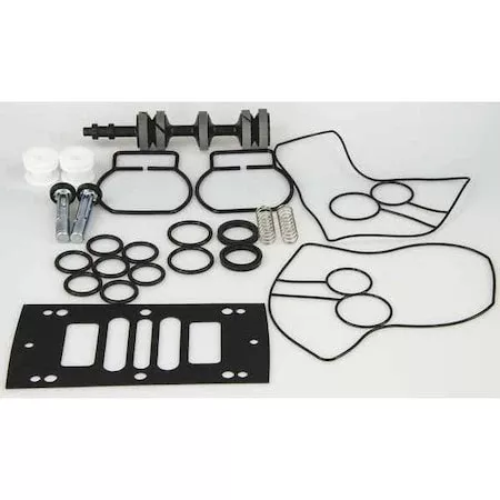 Pump Repair Kit,Buna N,Air,1 In.