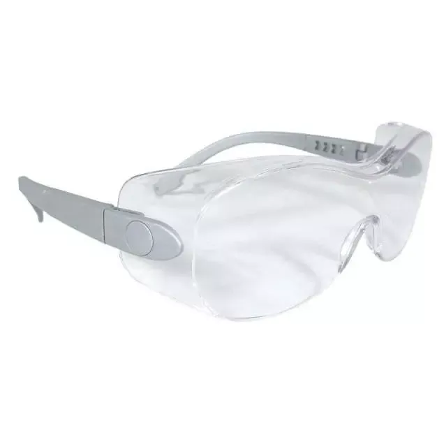 Radians Sheath OTG Style Eyewear