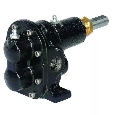 Rotary Gear Pump Head, 1 In. , 1