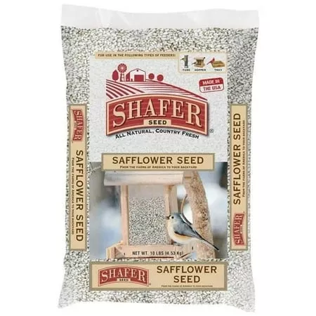 Safflower Seed 5 Pound Bag For Bird Feeding And Wildlife
