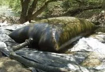 Wetland Bags