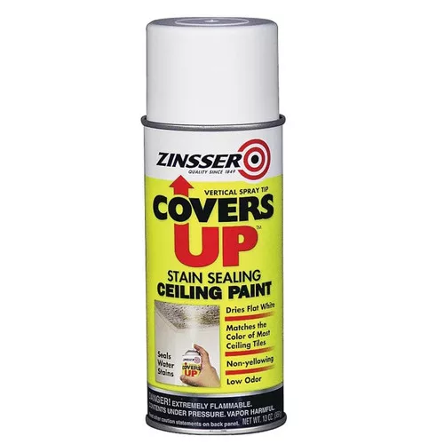 Zinsser- Covers Up- Spray- 13 Oz